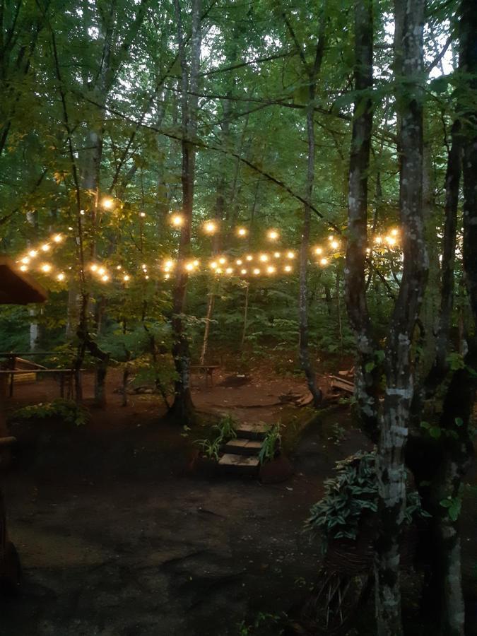 Vila Szoke Sovata Buitenkant foto
